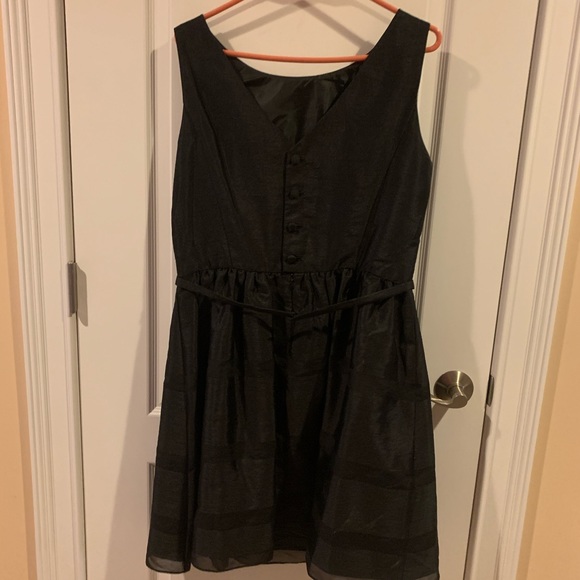 The Limited Dress - Picture 4 of 5